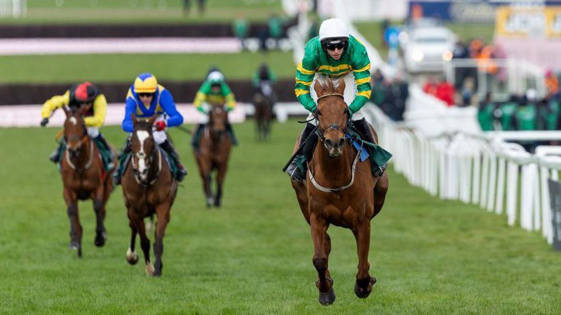 Horse Racing Transport Across the UK with JBF Travel Northwest